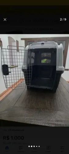 Caixa de transporte pet skudo IATA