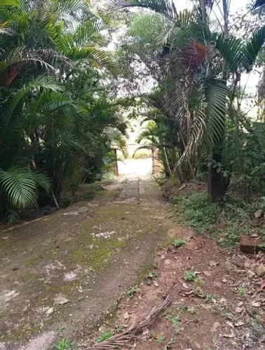 Oportunidade para você adquirir sua chácara
