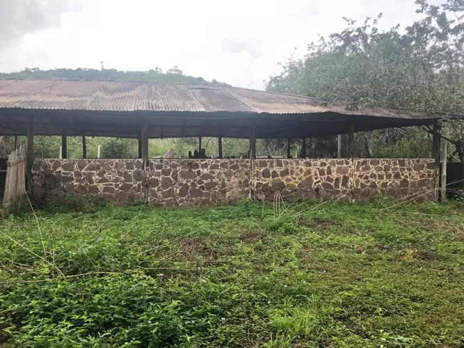 //Terreno com 270 hectares na BR 174