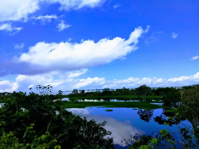 Terreno 386.000m2 Novo Remanso em Itacoatiara
