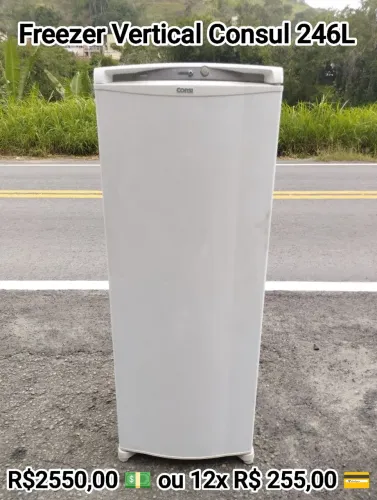 Freezer Vertical Consul 246L