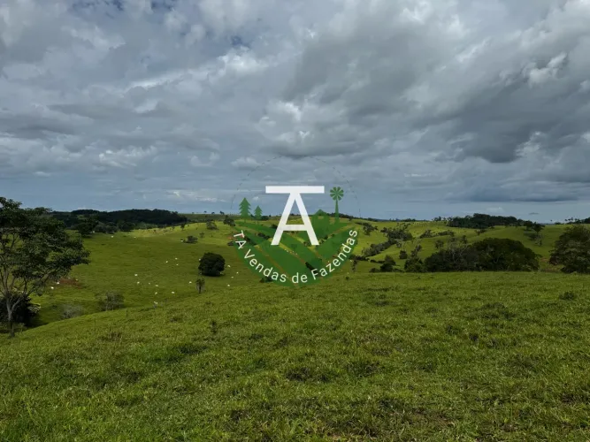 Fazenda de 192 alq em Ipameri-GO