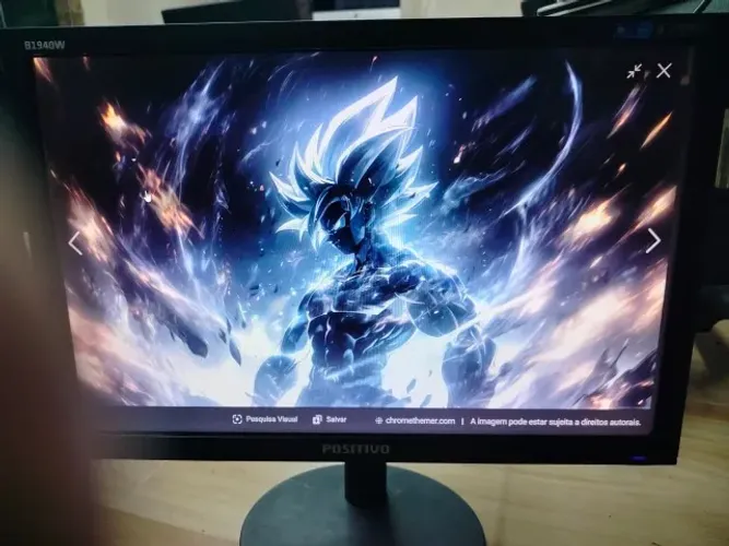 monitor 19" e 19,5"
