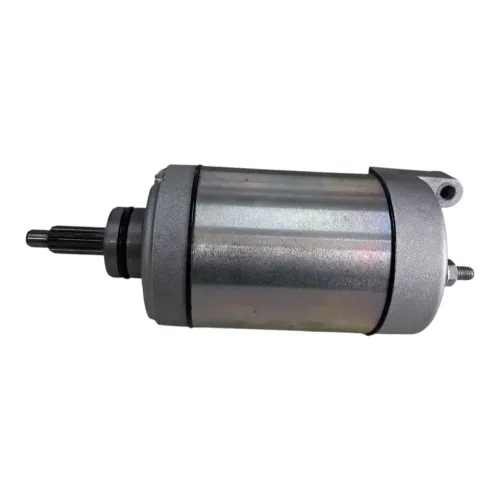 Motor De Partida Zontes T350x 2024/2025 Original