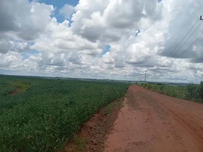 Lote de chacara com 20.000m2, Presidente Castelo Branco -Pr, R$ 200.000,00