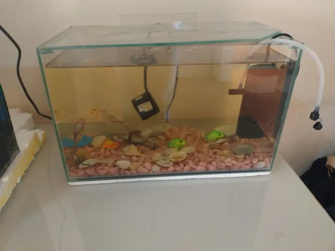 Aquário a venda