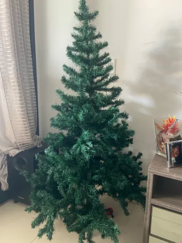 Planta artificial Pinheiro serve como árvore de Natal!