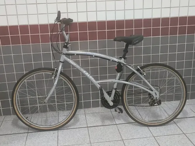 Bicicleta Caloi 100
