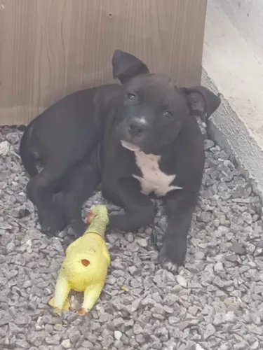 Pit monster