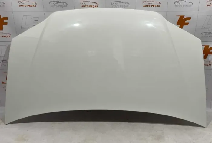 Capô Fiat Idea 2011 A 2016 Original Pintado 51836596 (Usado) - 13465
