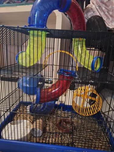 Vendo gaiola gigante pra hamster