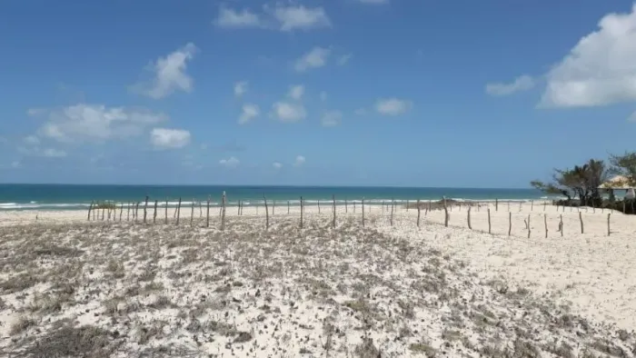 5 LOTES FRENTE MAR/ 2.250 m²/MORRO BRANCO-CE-IDEAL PARA HOTEL, POUSADA OU RESORT | ÚNICO