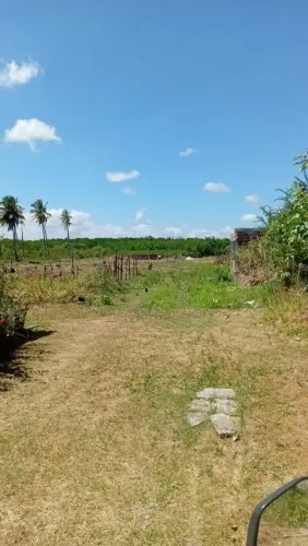 Praia de Carne de Vaca Lotes 10mx13m