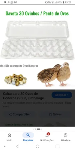 Caixinhas de ovos de codornas