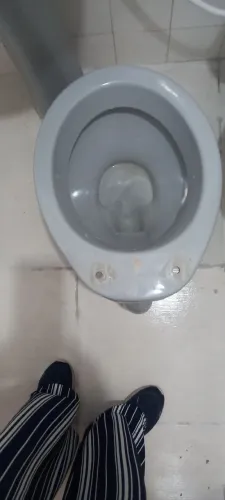 Vendo dois vasos sanitários 