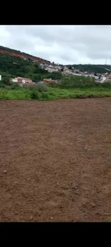 Lote 10x20
