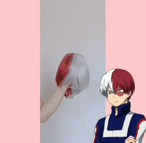 PERUCA COSPLAY SHOTO TODOROKI