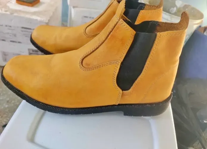 Bota cat
