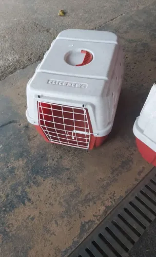 Caixa de transporte pet