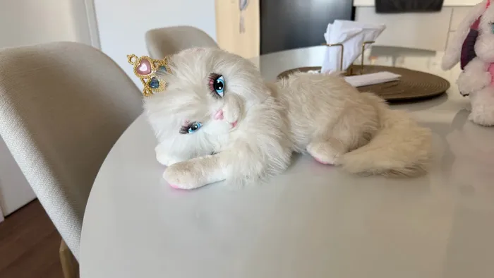 Serafina gatinha filme Barbie a Princesa e a Plebeia