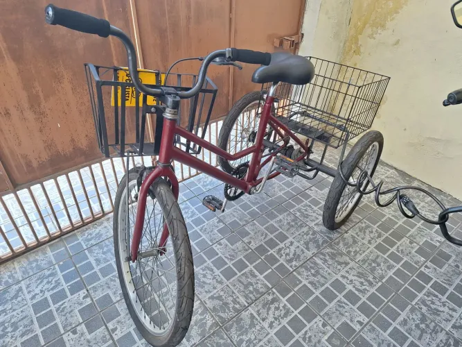 Bicicleta Triciclo