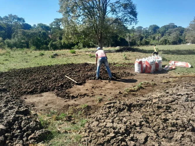 Esterco puro e curtido