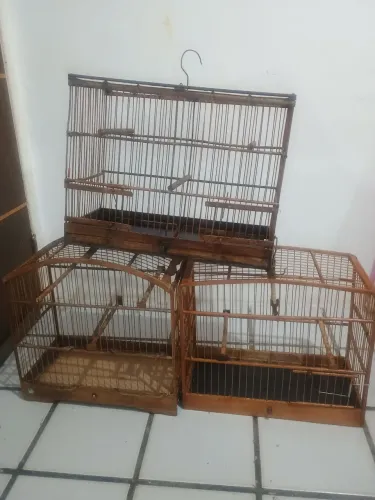 Baianinhas
