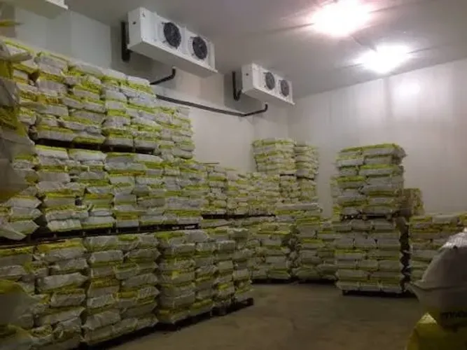 Frigorifico com capacidade de 500 toneladas de estocagem