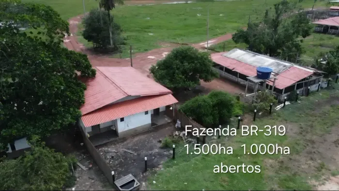 OPORTUNIDADE COM PERMUTA. Fazenda no Km 20 da BR319 no Careiro. 1.500ha e 1.000ha abertos