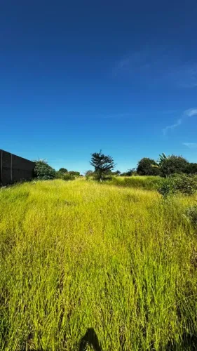Terreno de chácara de 2.500 M2 dentro da cidade - Franca - SP