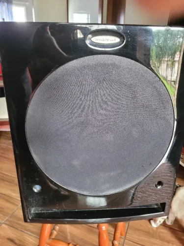 SUBWOOFER ATIVO VELODYNE DLS-R SERIES 200 W RMS