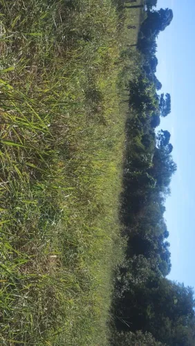 CHÁCARA EM XURI - VILA VELHA
