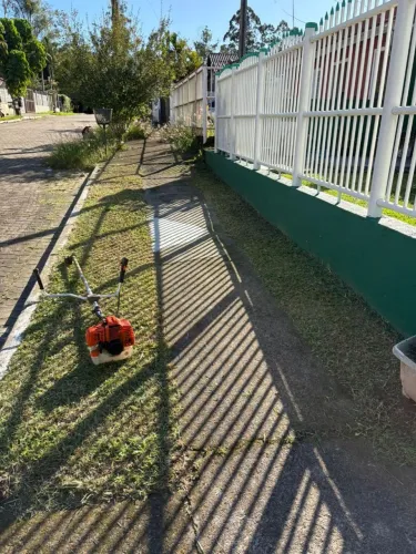 Jardinagem poda limpeza de caixa de água limpeza de patio 