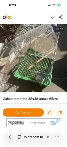 Gaiola pássaro