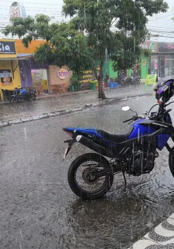 Apenas venda