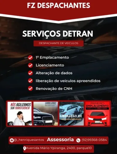 Despachante de veículos Premium Fz 