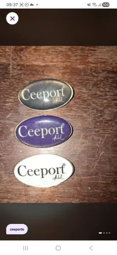 Pins Ceeport Hooponopono (novo)