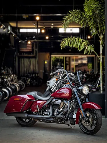HARLEY DAVIDSON ROAD KING SPECIAL