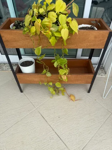 Floreira semi nova da tokstok vernizado