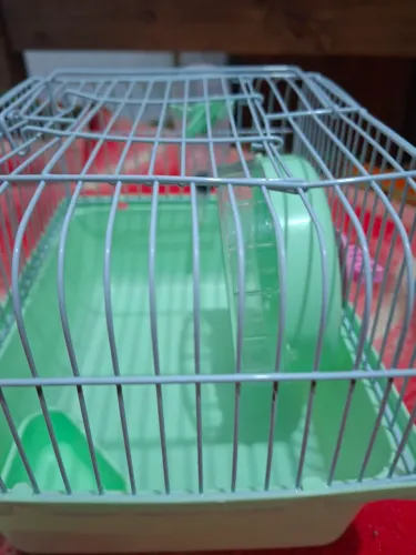 Gaiola Pequena para hamster