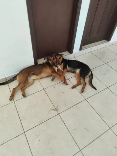 Doação 