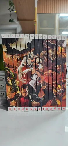 (Lote) 14 hqs coleção definitiva do homem aranha (capa dura)