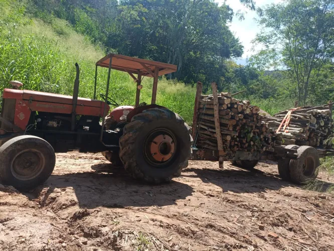 Trator massey Ferguson 65x
