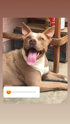 DOAÇÃO RESPONSÁVEL 