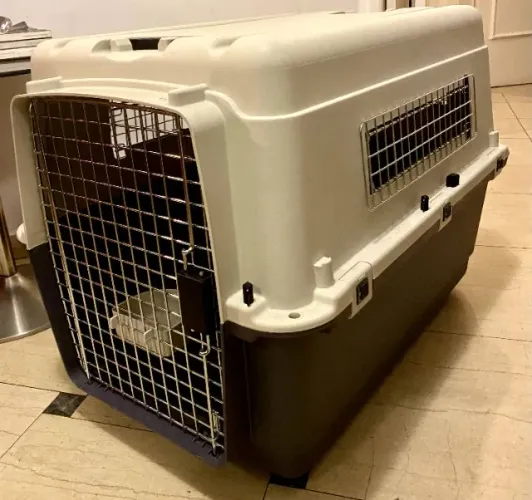 Caixa de Transporte Pet Avião - n. 5 Inter