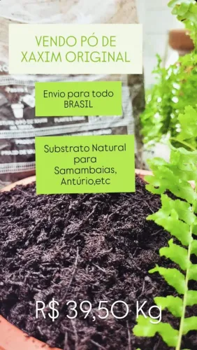 Pó de XAXIM