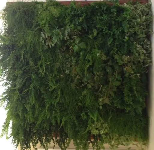 Jardim vertical