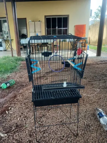 Gaiola para calopsita semi nova