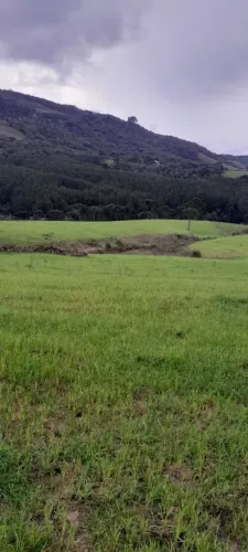 **SÍTIO À VENDA - ÍNDIOS / ENTRADA DO CAMPO - PRÓXIMO A LAGES/SC**<br>
