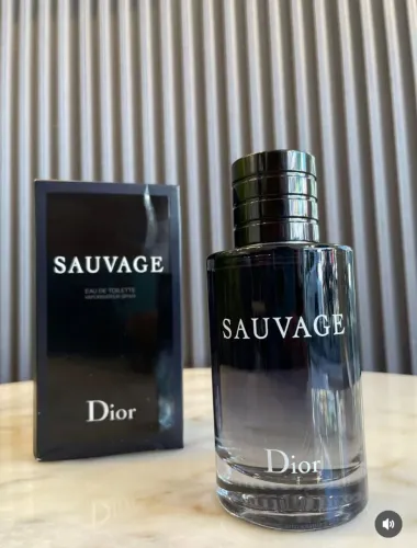 Sauvage Dior Eau de Toilette - Perfume Masculino 100ml